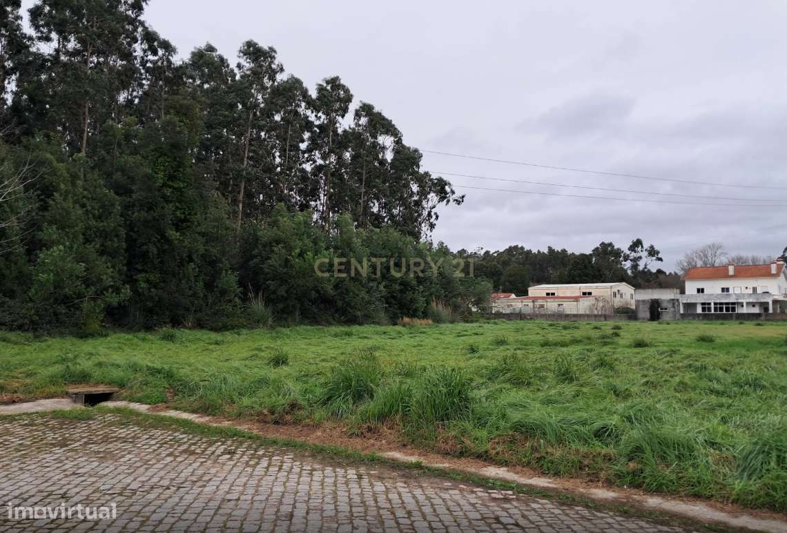 TERRENO EM CORTEGAÇA - Grande imagem: 5/7