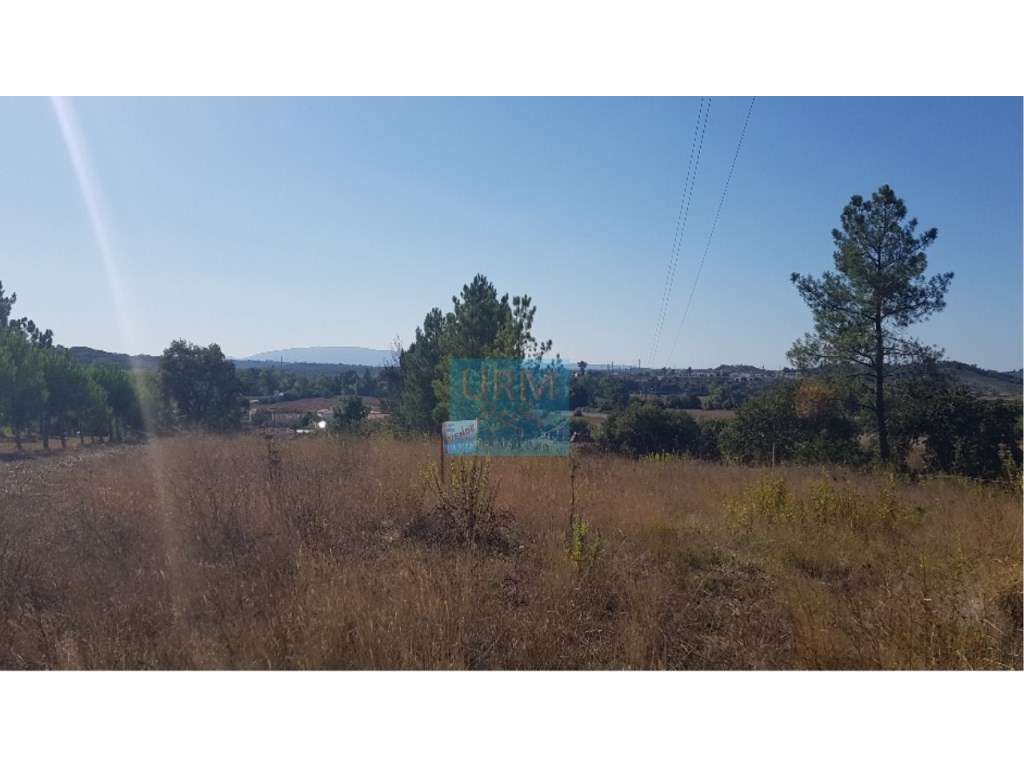 TERRENO para construção (Moradia até 300m2) - Grande imagem: 5/8