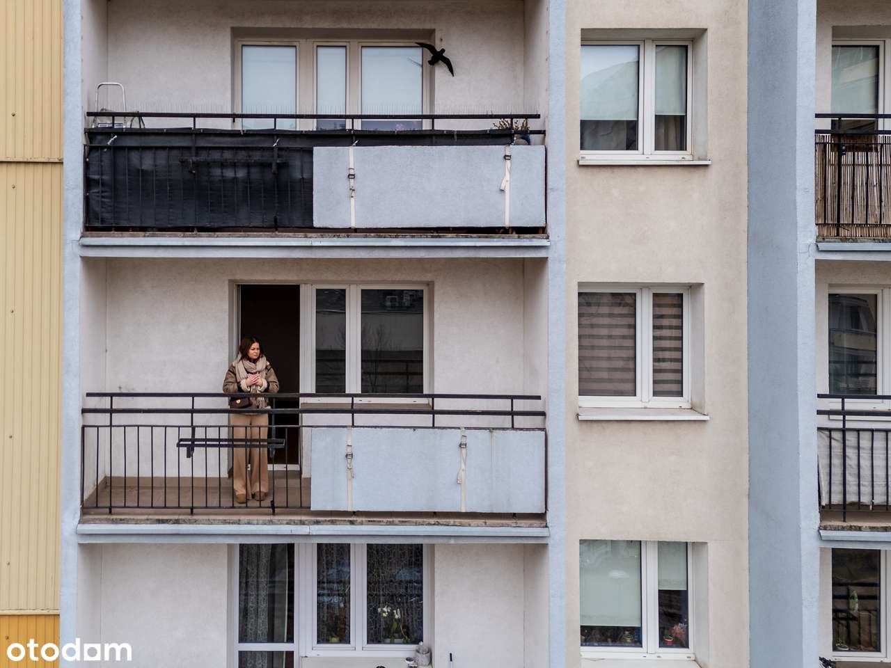 Niezależny układ/balkon/oddzielna kuchnia/piwnica/dostępne od zaraz-3