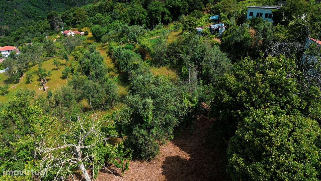 TERRENO P/ CONSTRUÇÃO COM VISTA PARA O RIO DOURO - Grande imagem: 5/12
