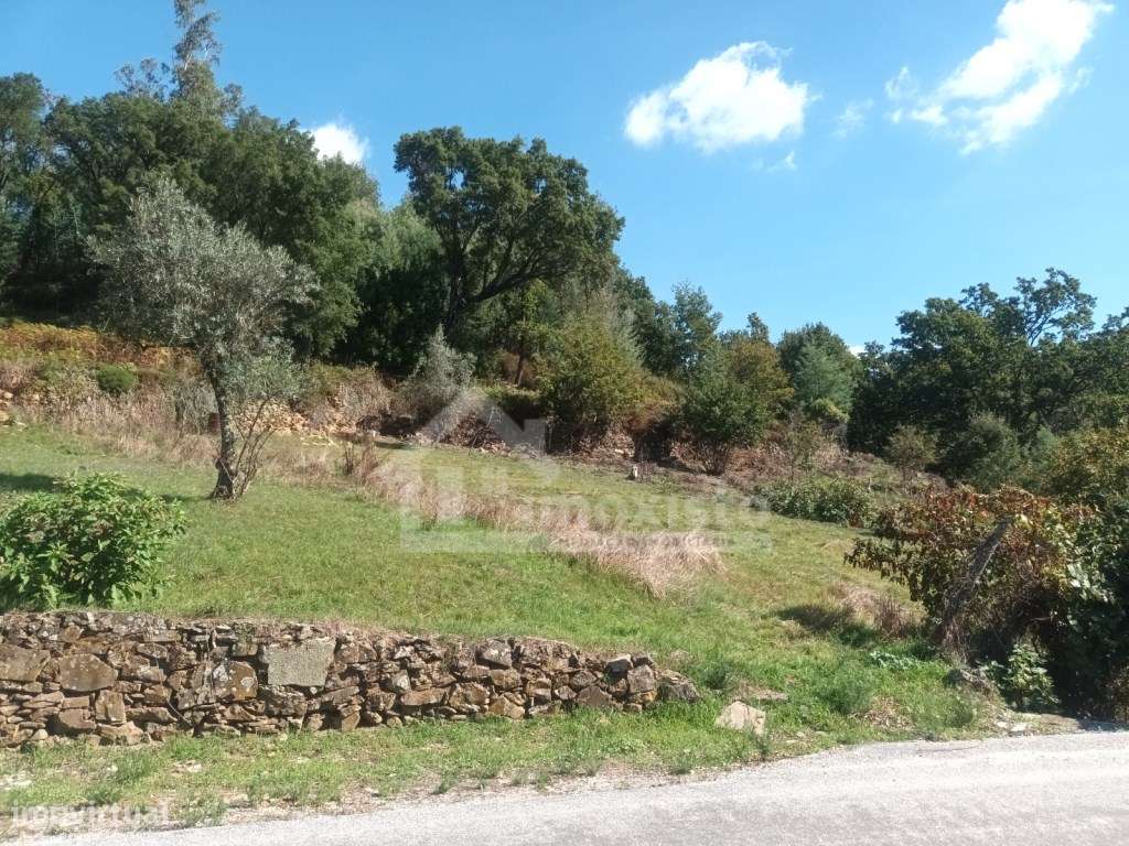 Moradia T3 em Campelo-58