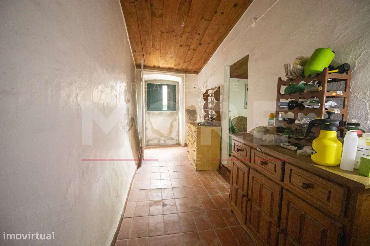 Herdade - Alvito-7