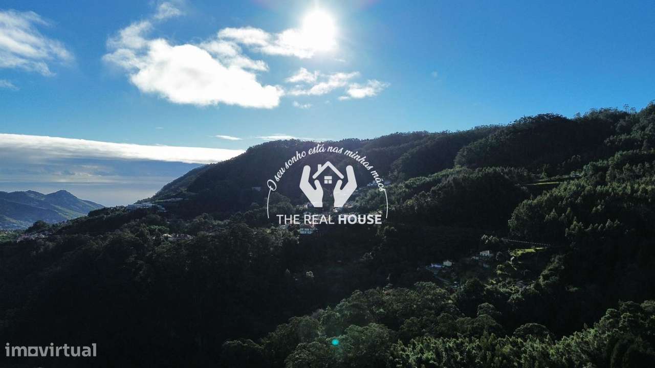 Terreno Rústico em Santo António da Serra-11