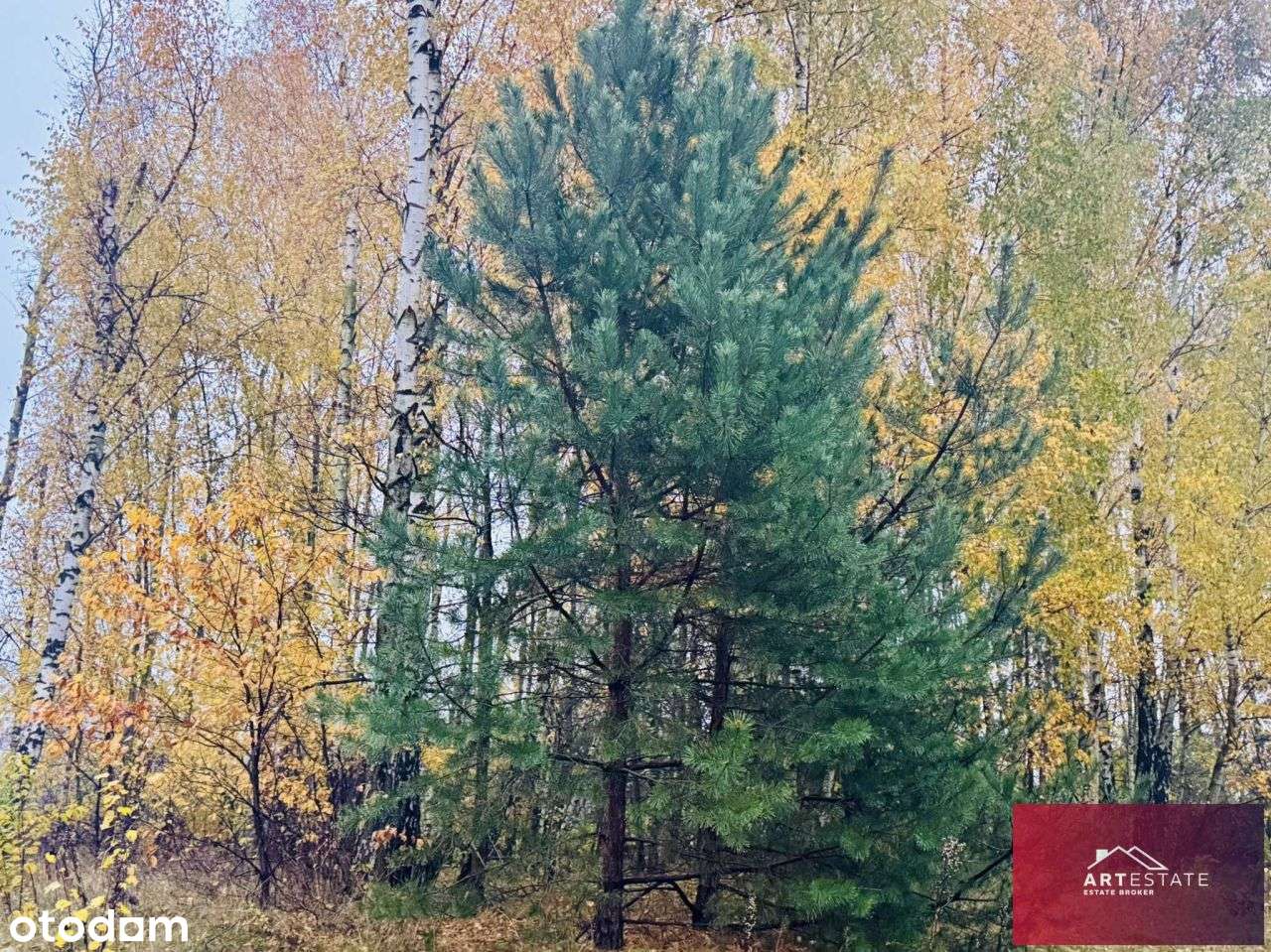 Działka Budowlana Słowak gm. Aleksandrów Ł.-12