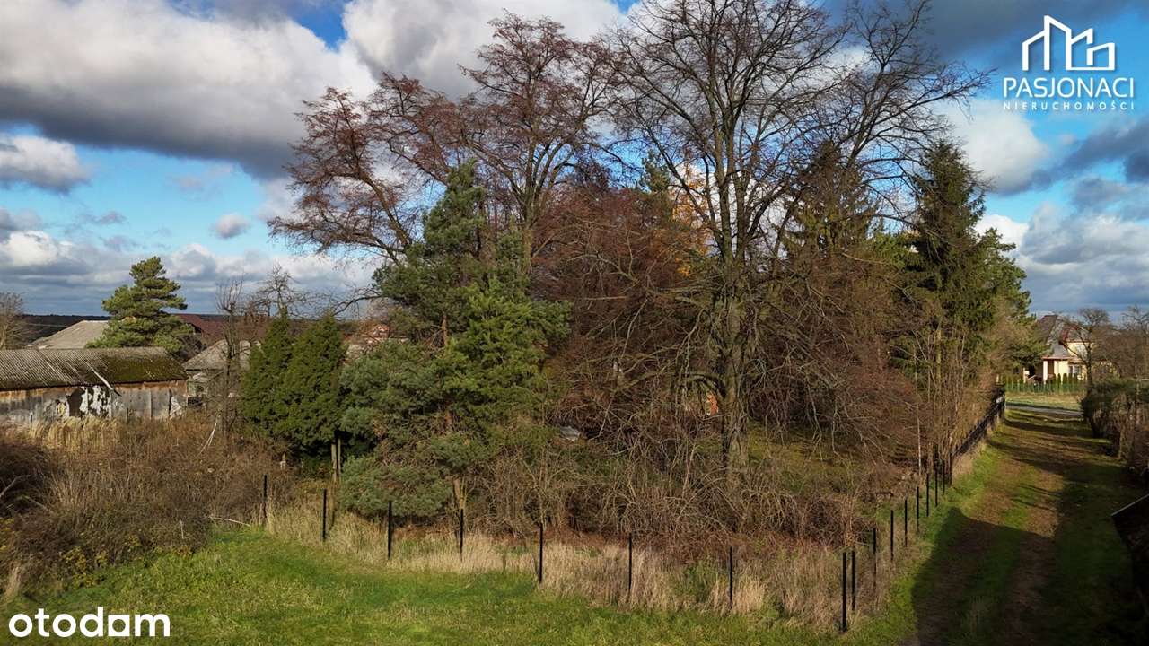 Działka budowlana wśród zieleni Krężnica Jara-10