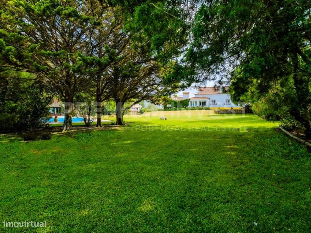 Passaporte Dourado para o paraíso em plena Costa de Prata - Grande imagem: 4/50