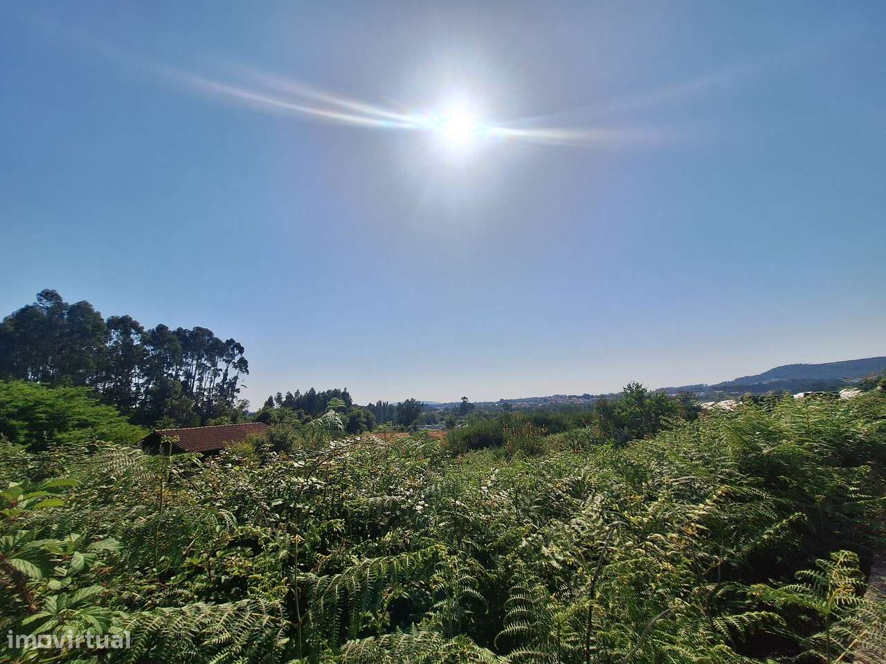 Terreno em Mujães, Viana do Castelo - Grande imagem: 4/6
