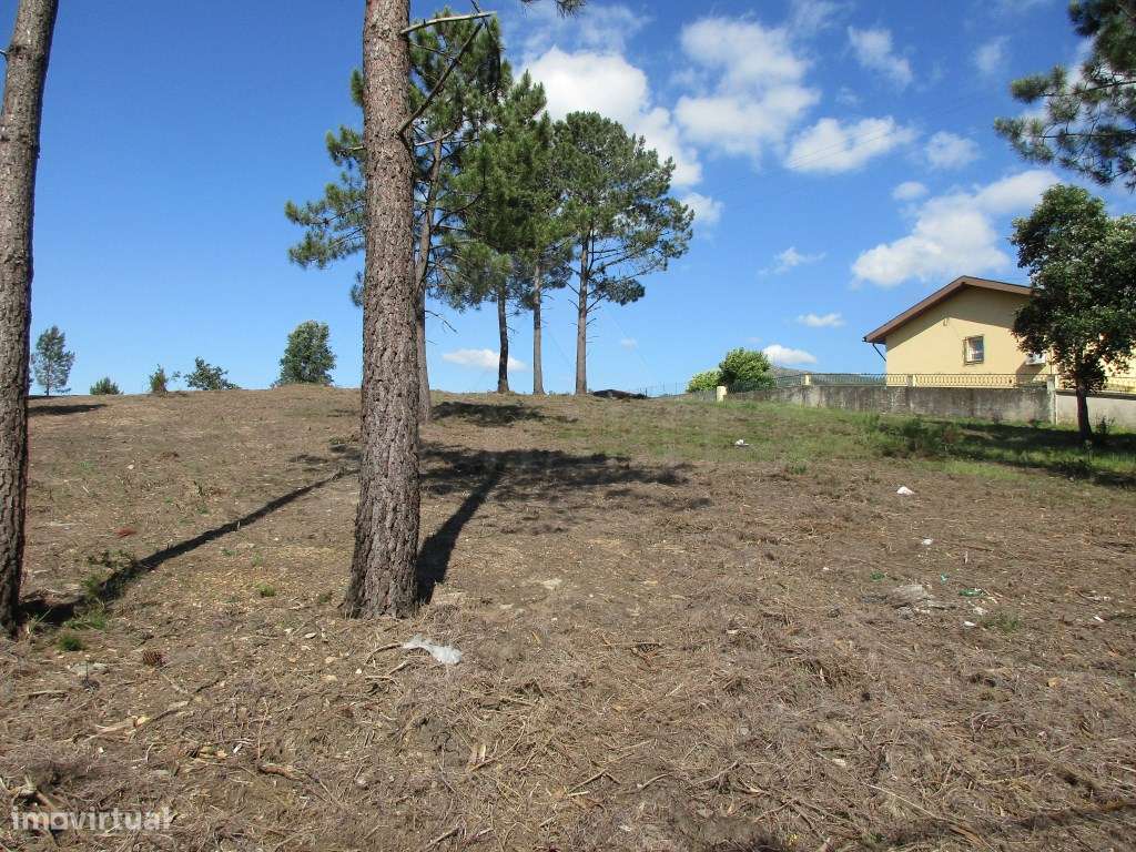 Excelente terreno perto do centro de Ponte de Lima - Grande imagem: 3/5