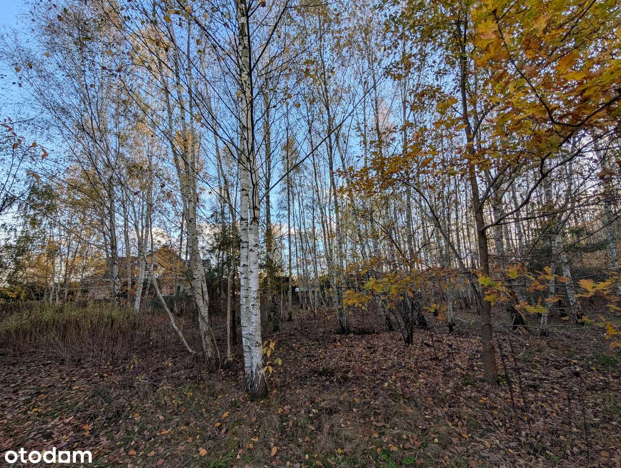 Działka budowlano–rolna przy wjeździe na S7, węzeł Antoninów-0