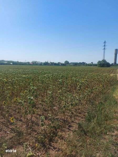 Intravilan Valea calugareasca 4895 mp - Imagine principală: 5/7