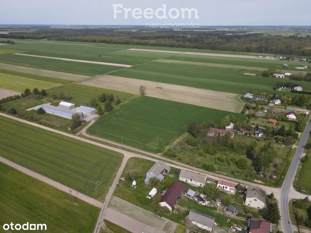 Kompleks budynków komercyjnych - działka 1,1872 ha - Pełny obrazek: 2/9