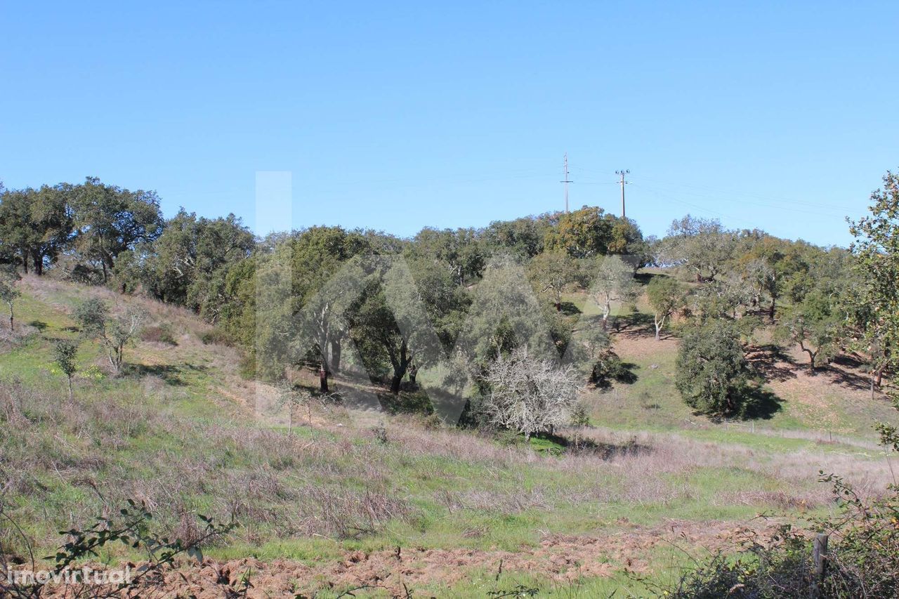 Terreno de 5,8 hectares em Santa Margarida da Serra