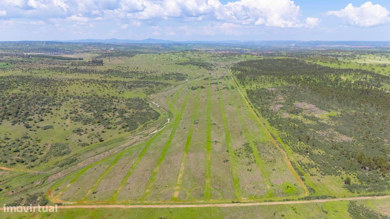 Herdade do Penedo Gordo – 15 Hectares de Elevado Potencial no Alentejo - Grande imagem: 3/6