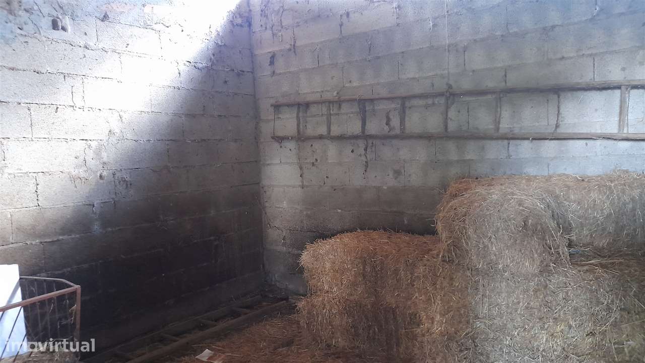 Quinta T0 Venda em Vila Velha de Ródão,Vila Velha de Rodão-26