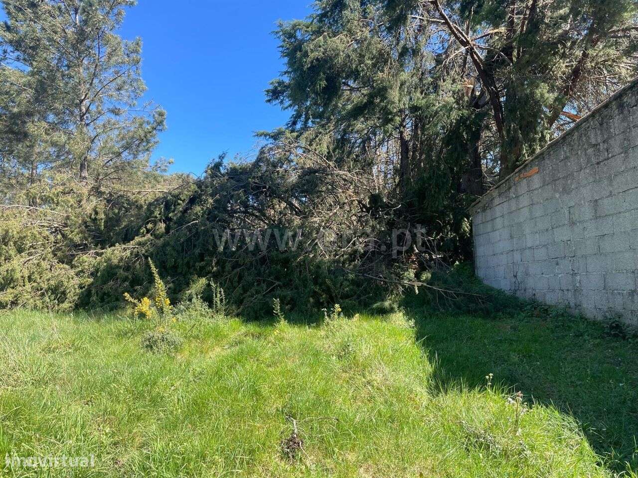 Terreno / Seia, Santiago - Grande imagem: 4/4