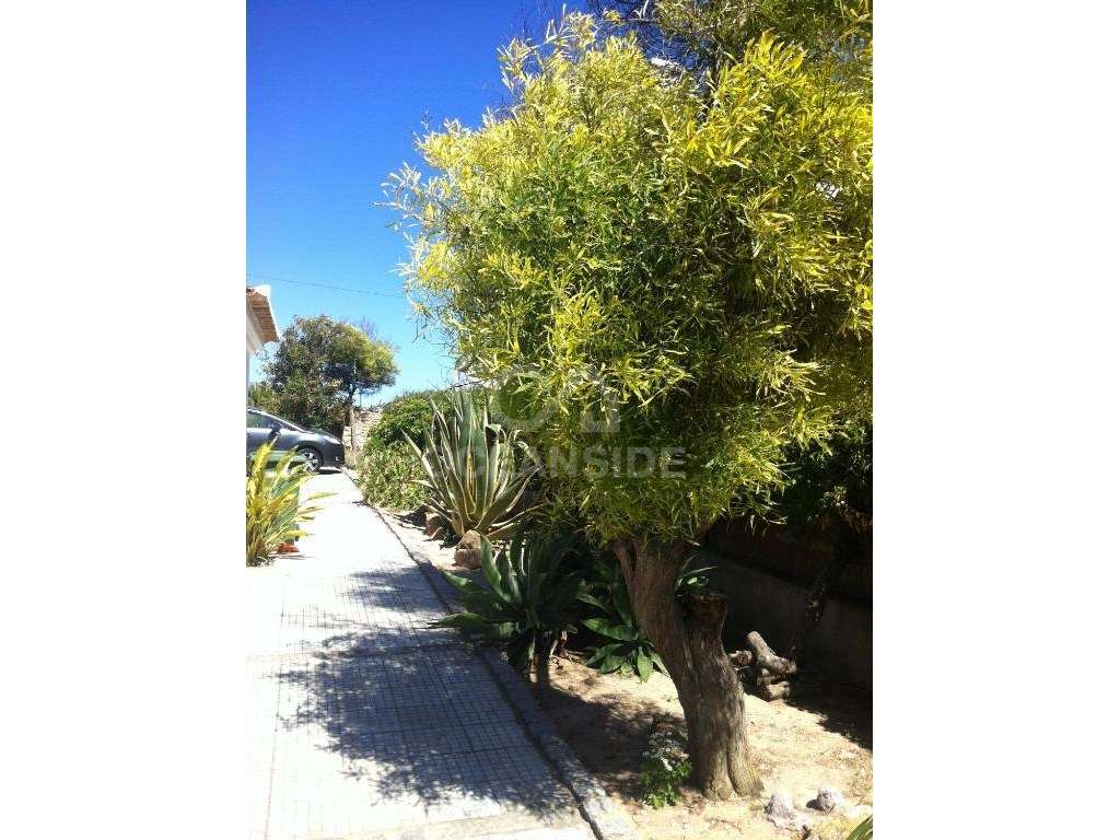 Prédio com 9 frações em Sagres-7