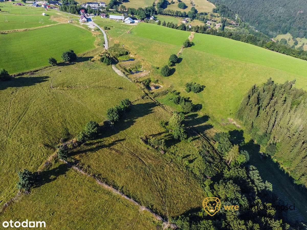 Warunki Zabudowy - 5 domów lub hotel z restauracją - Pełny obrazek: 4/7