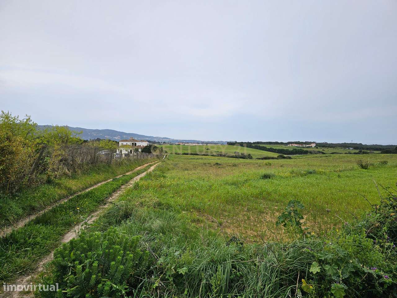 Terreno Rústico | 14160m2 | Sintra | Fontanelas | Av. Nossa Senhora da-9