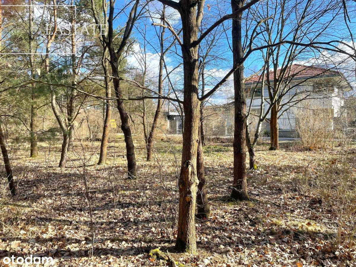 Działka z potencjałem usługowym – blisko Warszawy - Pełny obrazek: 3/13