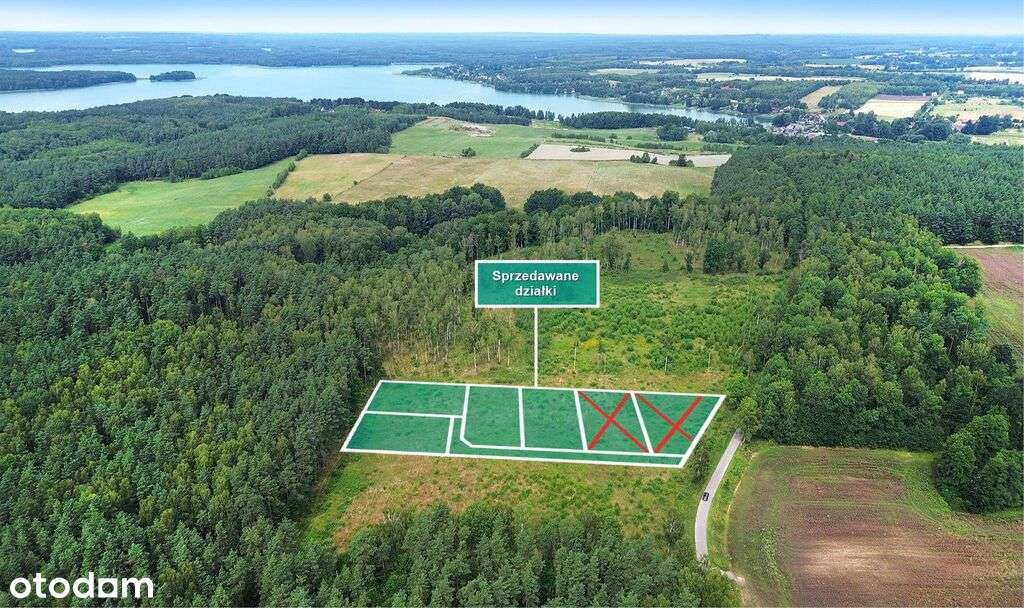 Duże działki pod budowę domu przy lesie. - Pełny obrazek: 5/20