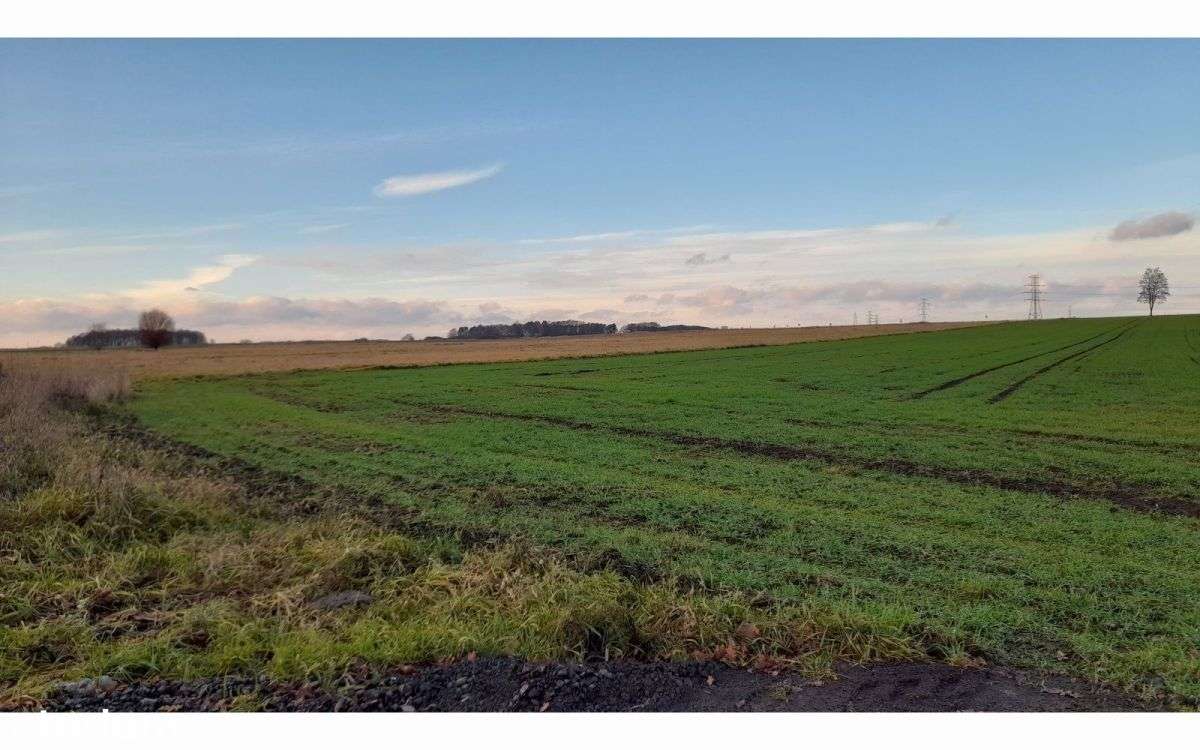 Działki, 10 arów i więcej, Lubin, Krzeczyn-1