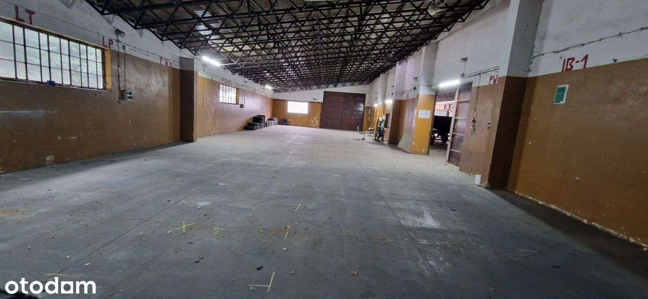 Hala pod magazyn, produkcje, handel itp - Pełny obrazek: 5/6