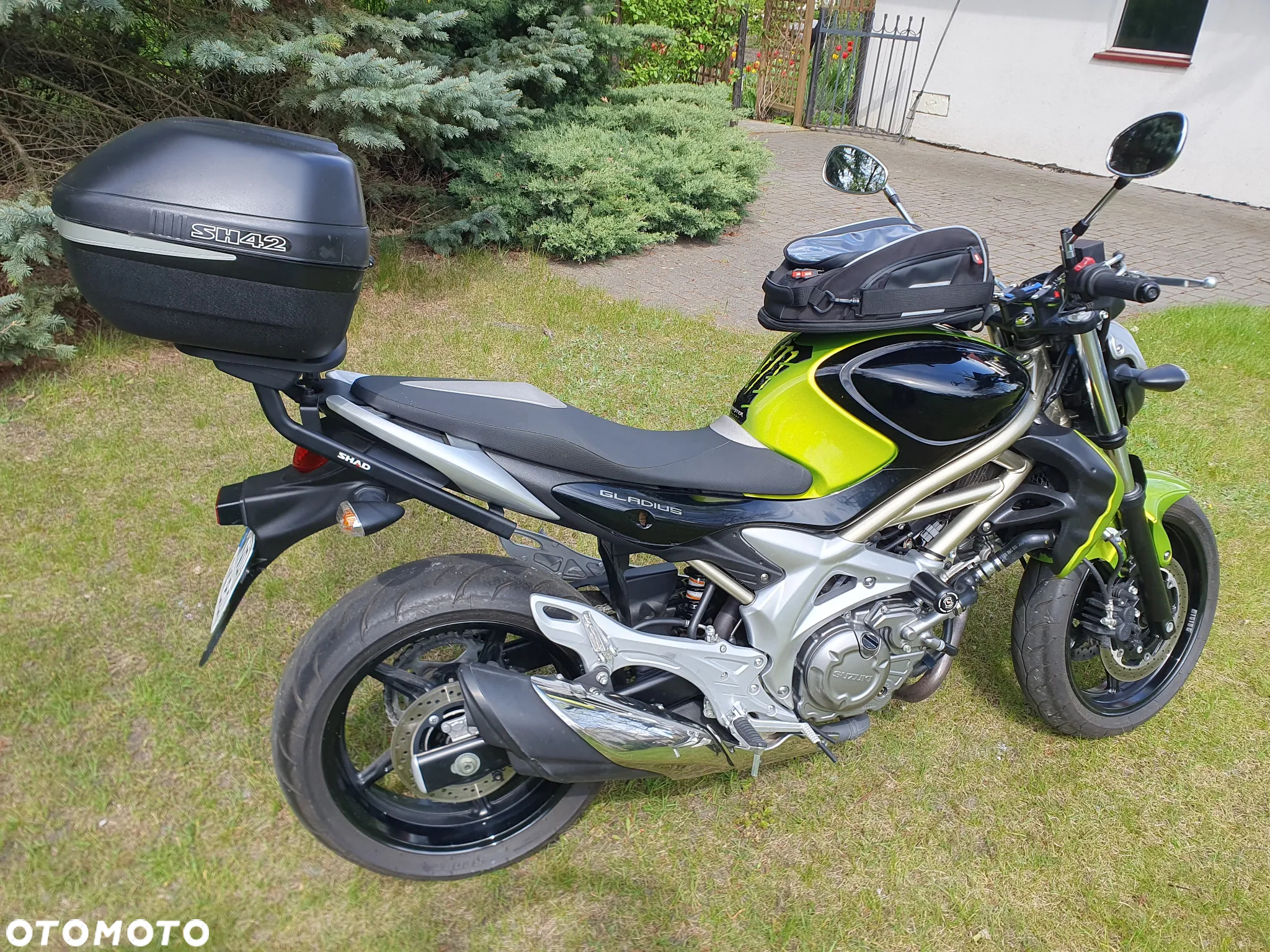 Suzuki Gladius - 4