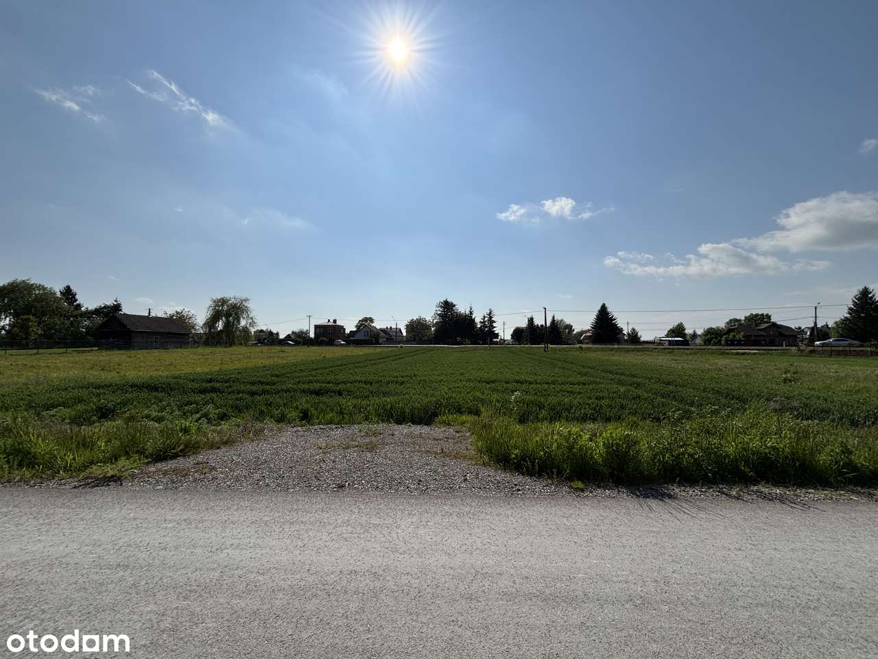 Działka 12 arów_Chorzelów_ przy granicy Mielca_asfaltowy dojazd! - Pełny obrazek: 5/6