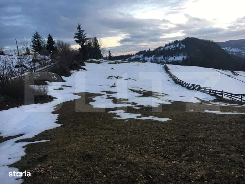 Teren de vanzare, Scarisoara,  ideal pentru cabana - Imagine principală: 3/4