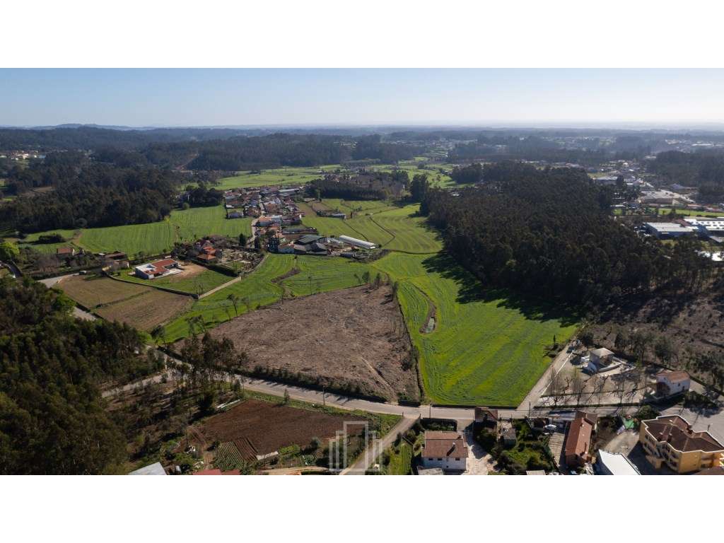 Terreno Rústico - S. Vicente Pereira Jusã, Ovar - Grande imagem: 3/7