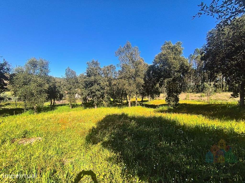 Moradia Isolada com terreno no concelho de Abrantes-16