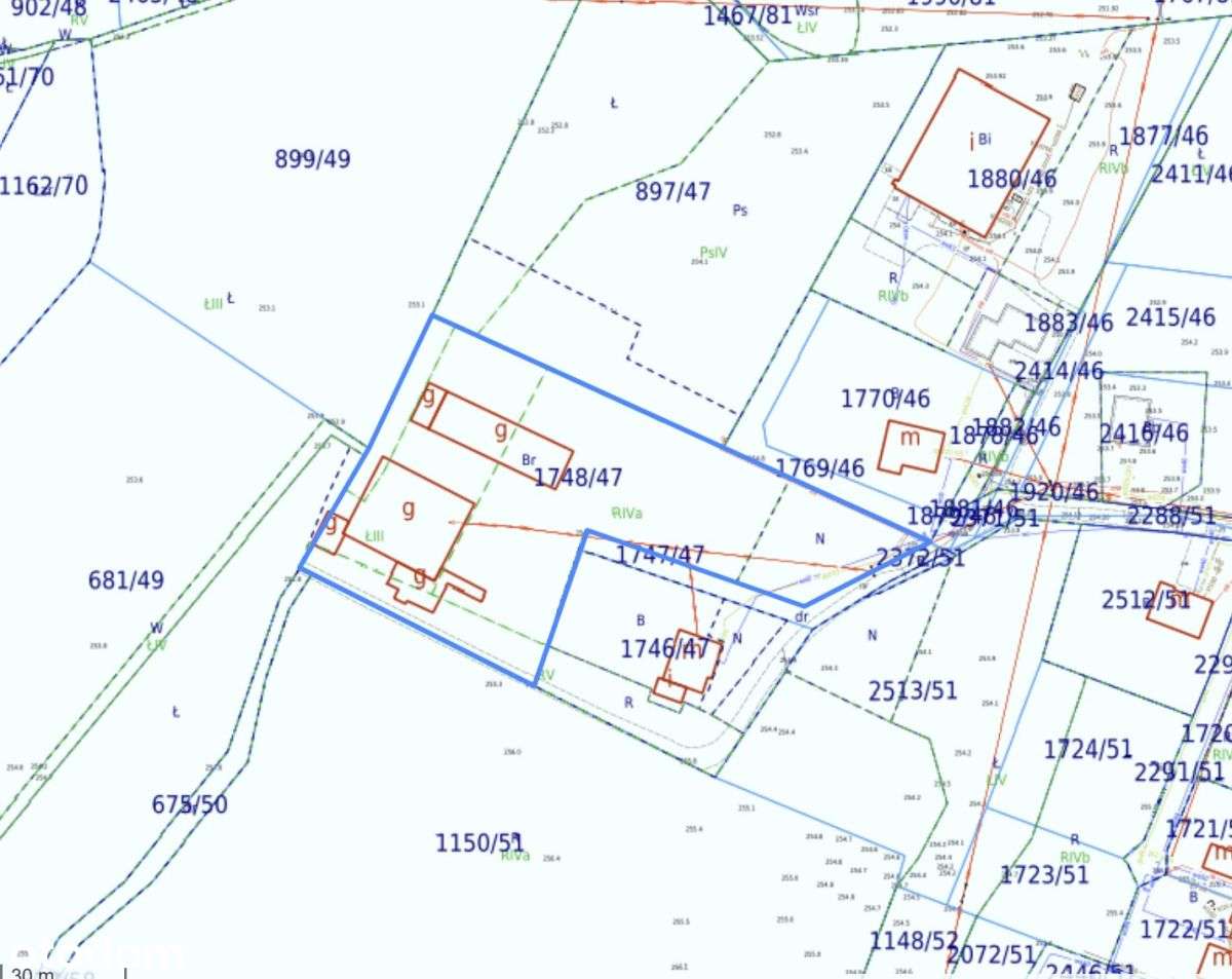 Działka Czarków | Las, szkoła | 4km do Dk1 - Pełny obrazek: 4/6