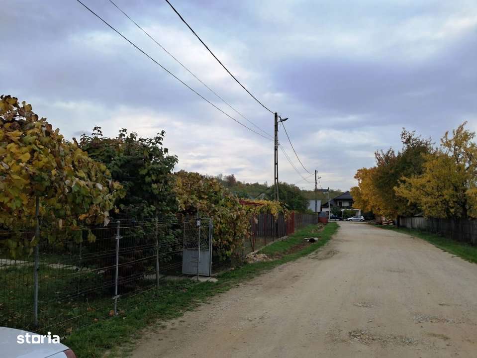 CASĂ SI TEREN BAIA DE FIER - Imagine principală: 3/14