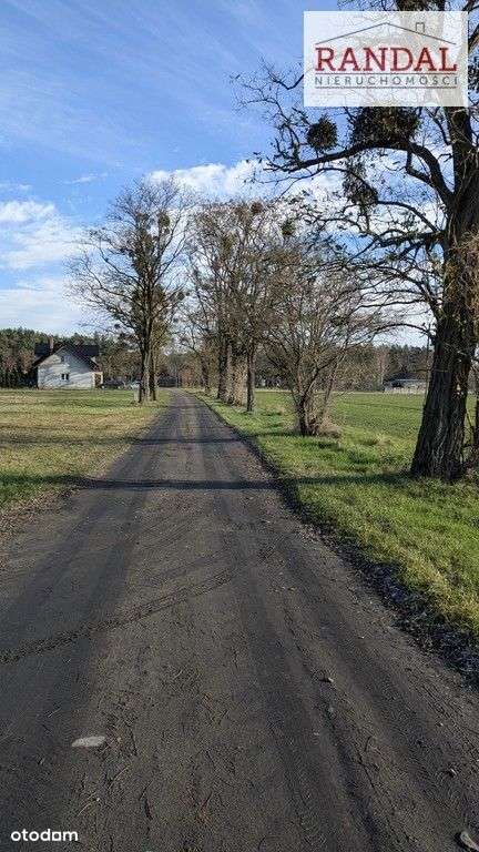 działka w otoczeniu lasów-4