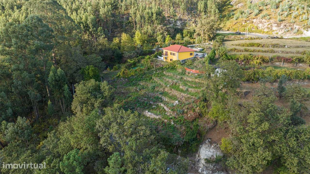 Terreno Rústico  Venda em Gondoriz,Terras de Bouro - Grande imagem: 5/19