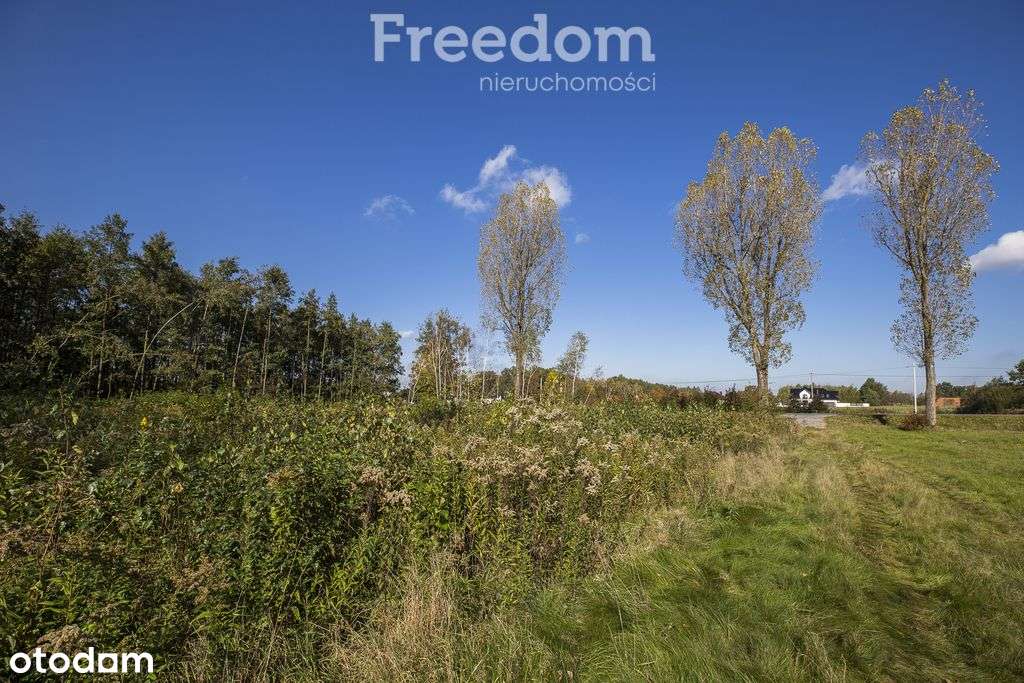 Działka inwestycyjna przy Dk94 – Machowa-9