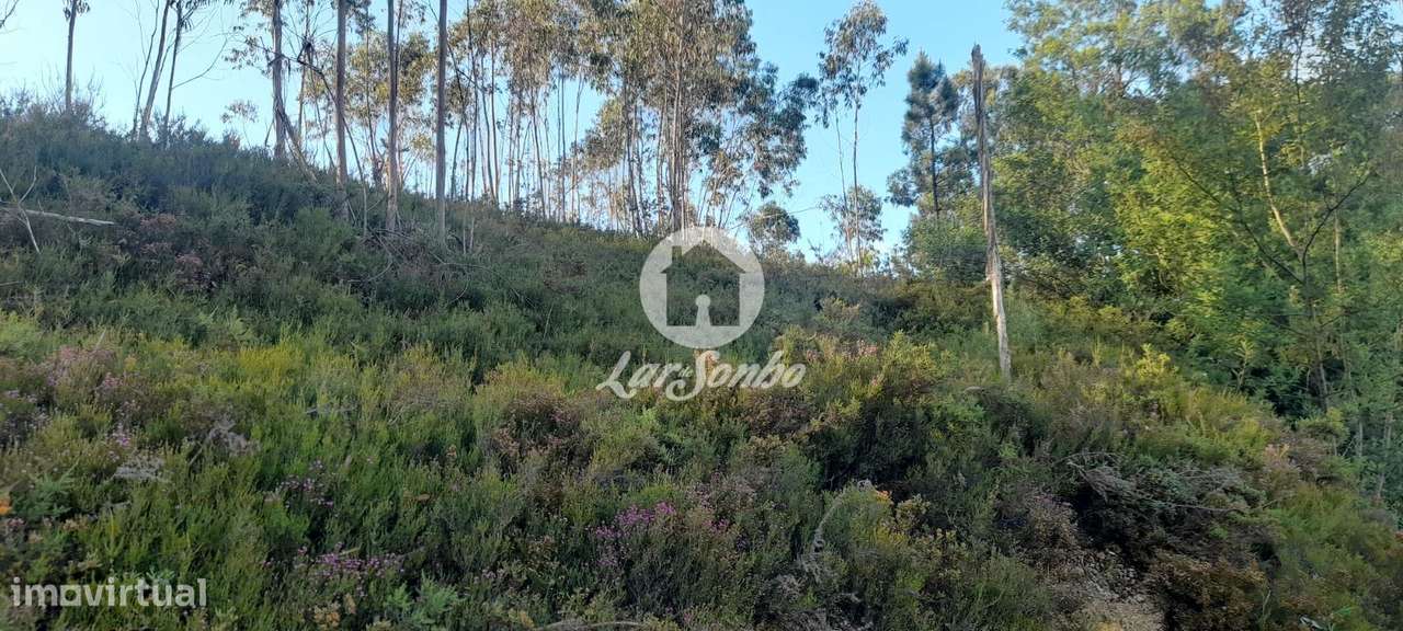 Terreno Industrial COM 20.000m2 - Trofa - Grande imagem: 3/33