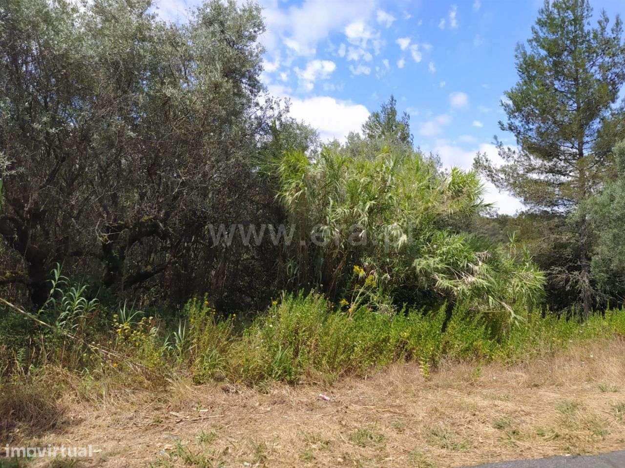 Terreno Para Construção em Ourém! - Grande imagem: 1/3