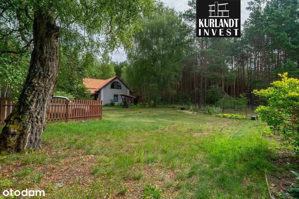 Dom z lasem Kowalskie Błota Bory Tucholskie-12