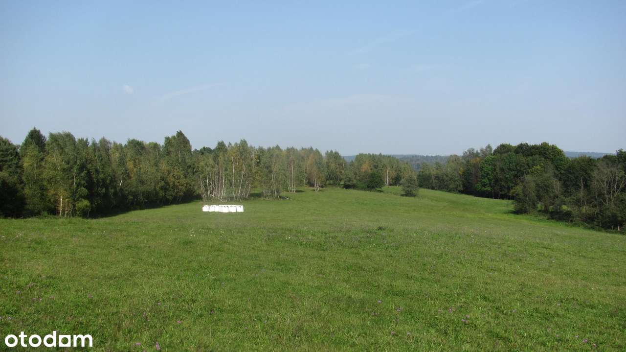 Siedlisko w Bieszczadach-2