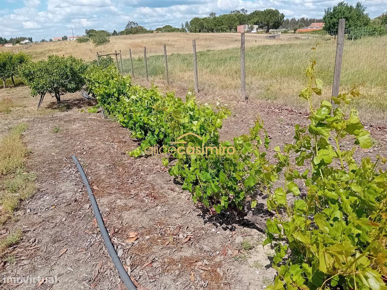 Moradia T3 Venda em Biscainho,Coruche-27