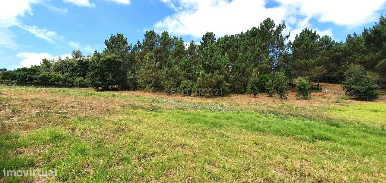 Terreno 5747 m2 I Fala - São Martinho do Bispo I Viabilidade Construçã - Grande imagem: 5/17