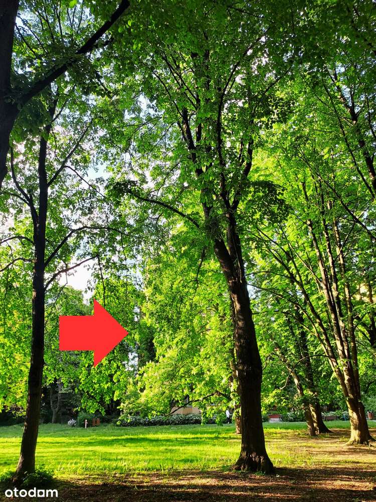 Chłodna kawalerka na Starym Mokotowie z dużym balkonem