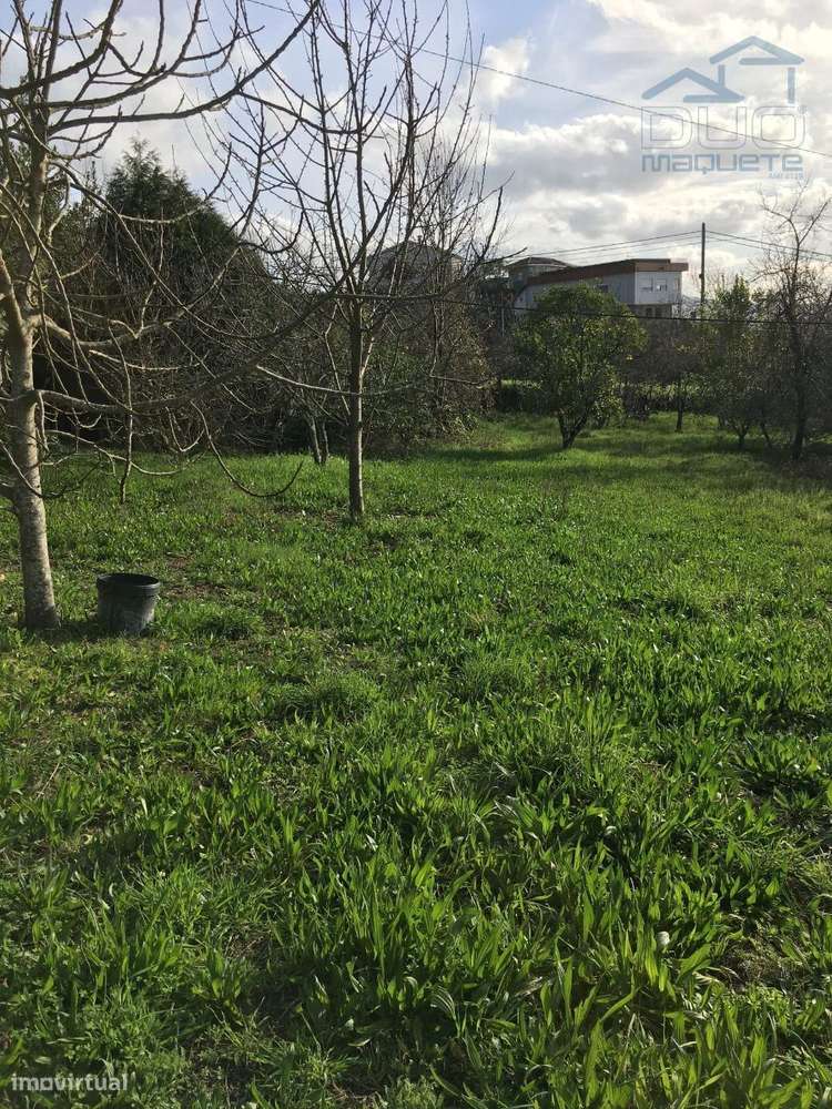 Terreno em Souselo - Cinfães - Grande imagem: 3/7