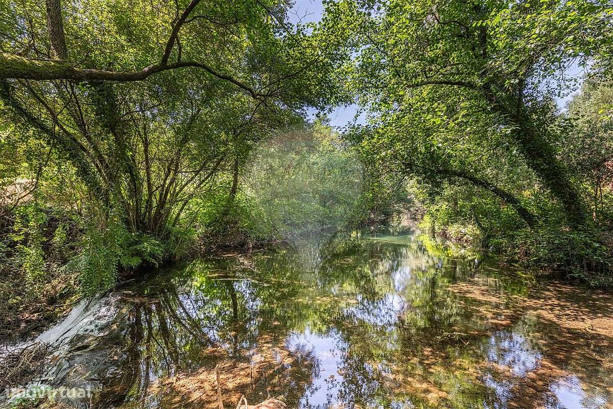 Investimentos  para venda - Grande imagem: 3/50