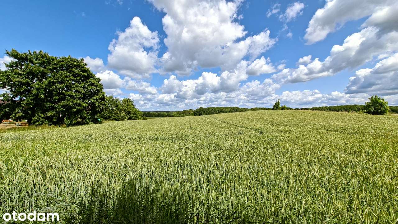 Działka 5200 mkw. z malowniczym widokiem - Udorpie tuż pod Bytowem-1