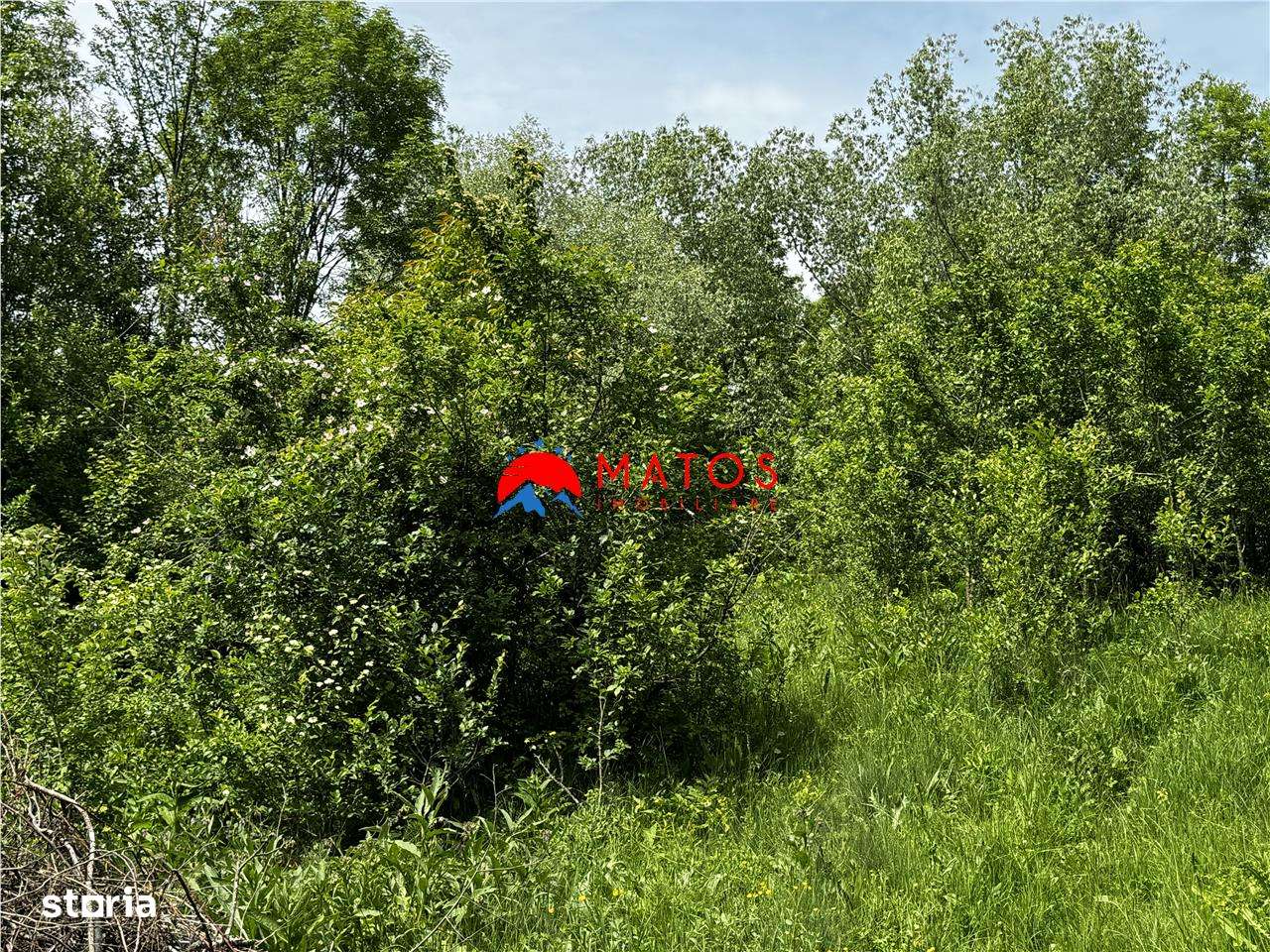 Teren intravilan 1.300 mp în Cornu de Jos, Prahova – zona linistita, u-7