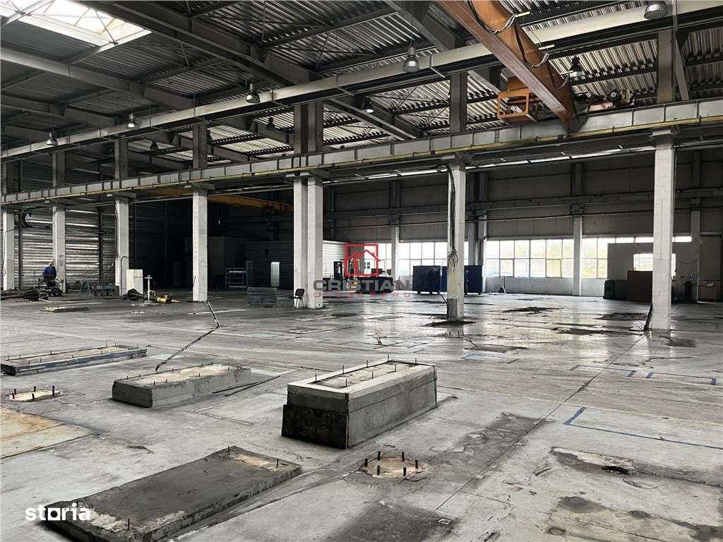 Inchiriere depozithalaspatiu industrial Militari - Timisoara - Imagine principală: 1/17