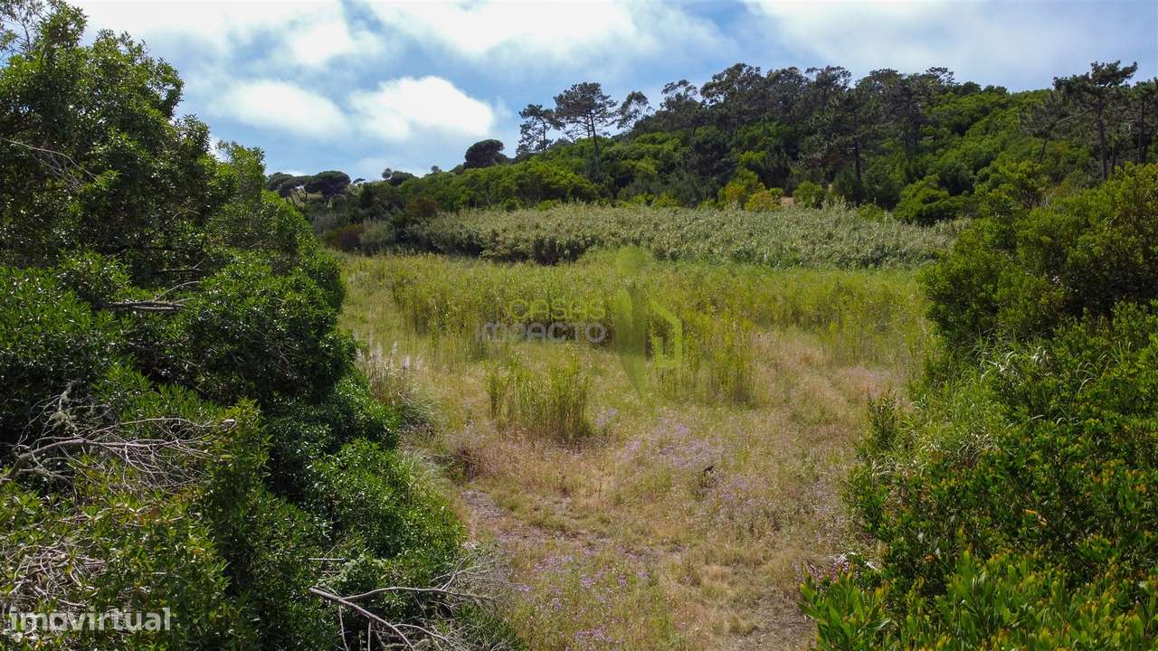 Terreno Rustico com 3.000m2 em Colares-7