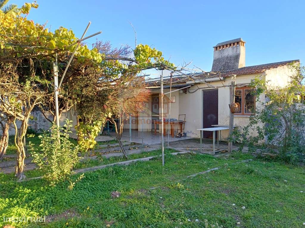 Excelente oportunidade - Quinta com 3 habitações em Grândola-25